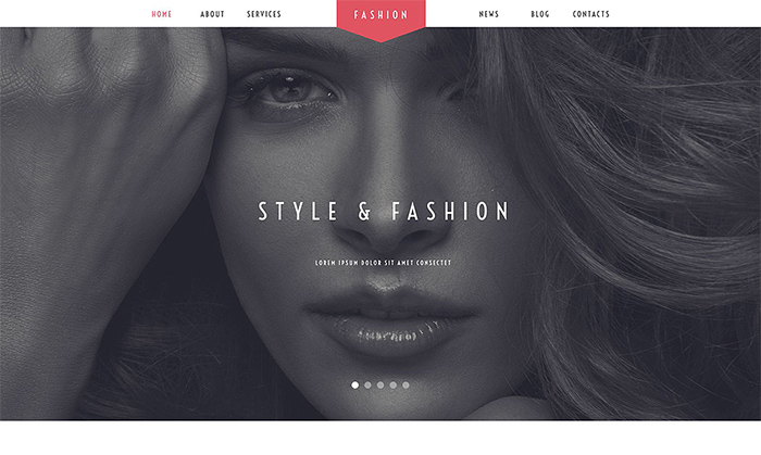 Fashion Stylist WordPress Theme    