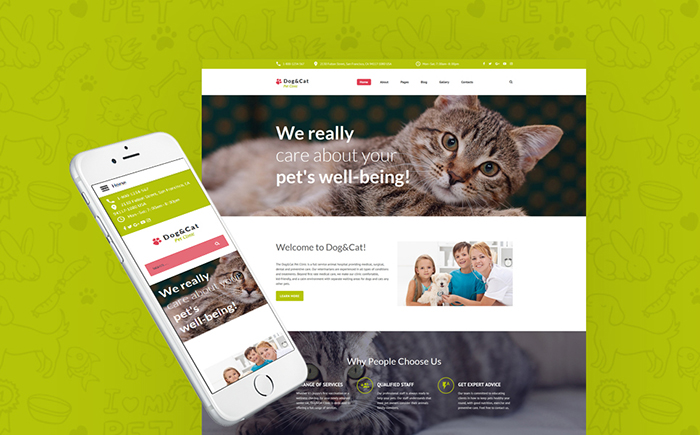 Cat - Pet Clinic Responsive Joomla Template