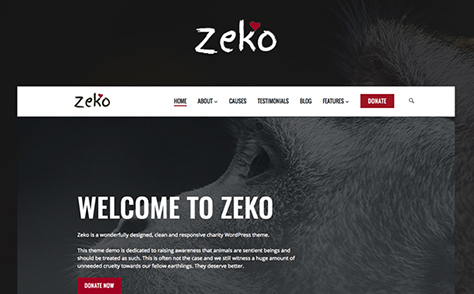 Zeko - Charity/Non-Profit WordPress Theme